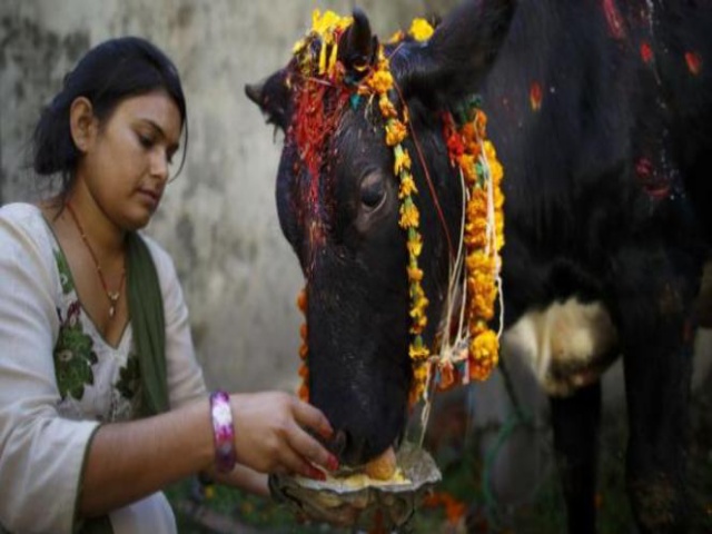 Gara-gara Seekor Sapi, Dua Orang Muslim Dihukum Gantung