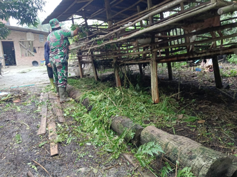 Sertu Sareh Dampingi Peternak Yang Ada di Wilayah Binaannya