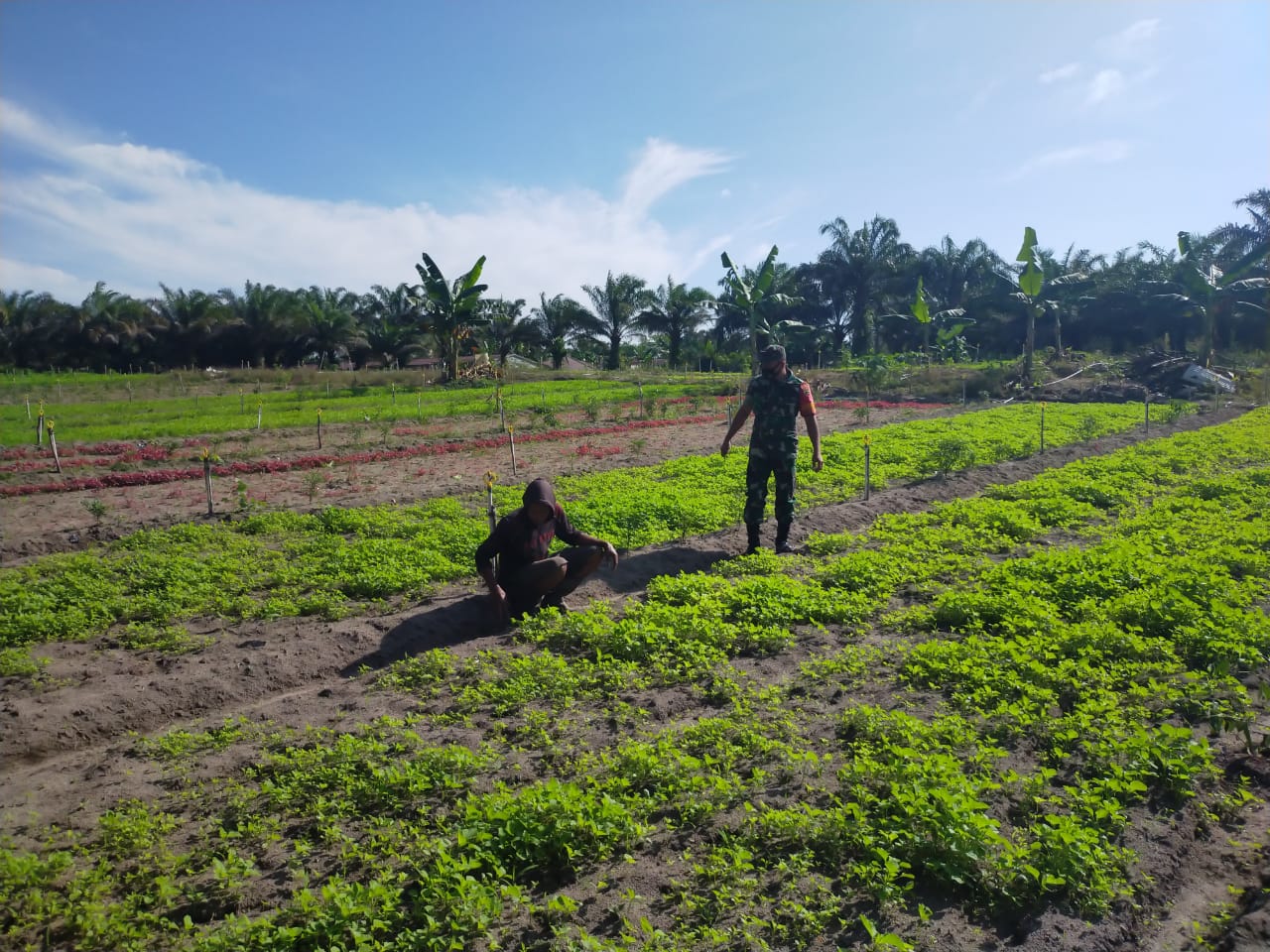 Sertu Arjuna Endar Laksanakan Pendampingan Karya Nyata di Wilayah Binaannya