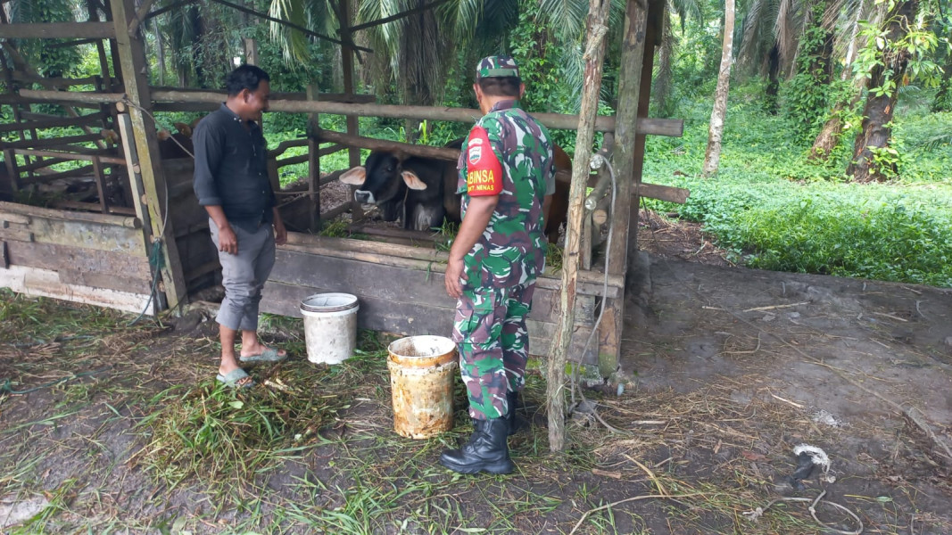 Serda Roni Sandra Berikan Sosialisasi Cegah PMK