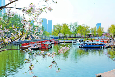 From Old Channel to New Garden: How Chaoyang’s 