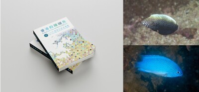 Fantastic Reef Fishes and Where to Find Them:  A New Field Guide Celebrates and Documents Hong Kong’s Reef Fish Diversity with 422 Species