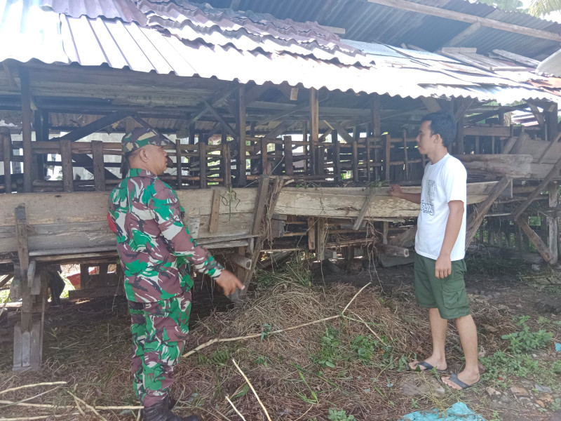 Sertu Mahyudin Jelaskan Cara Pencegahan PMK Kepada Peternak Binaannya