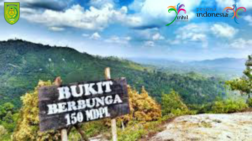 Bukit Berbunga Batu Ampar Buat Takjub Pengunjung