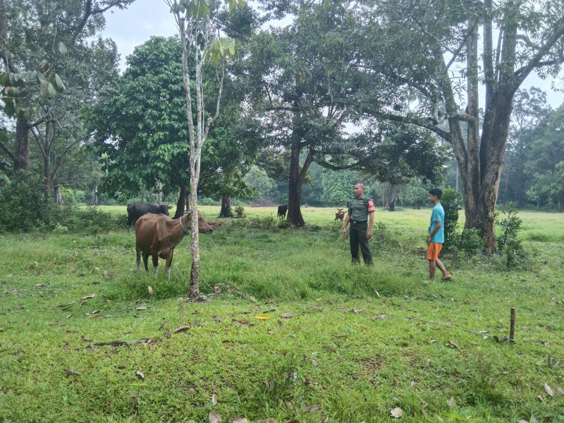 Babinsa Koramil 06 Merbau Kopda Ricko Laksanakan Giat Cegah PMK