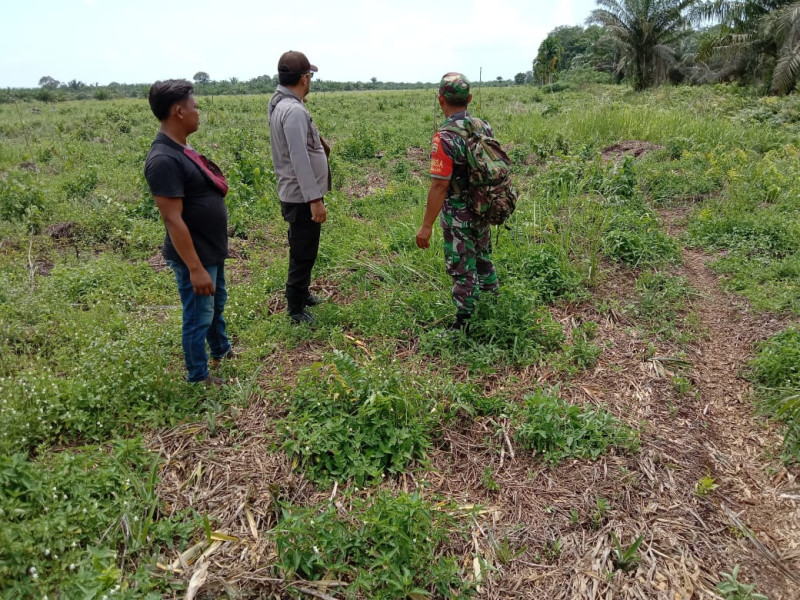 Sertu Jainal Arifin Pantau Langsung Wilayah Binaannya Untuk Mencegah Karhutla
