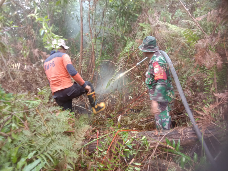 Babinsa dan Personil Koramil PWK 04 Laksanakan Pendingin Lahan