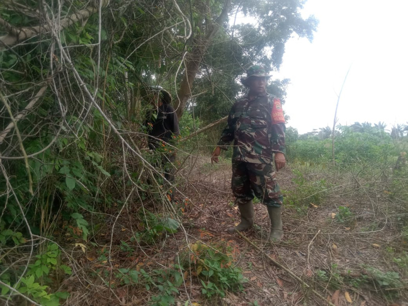 Babinsa Kelurahan Mekarsari Gelar Patroli Cegah Karhutla di RT 5