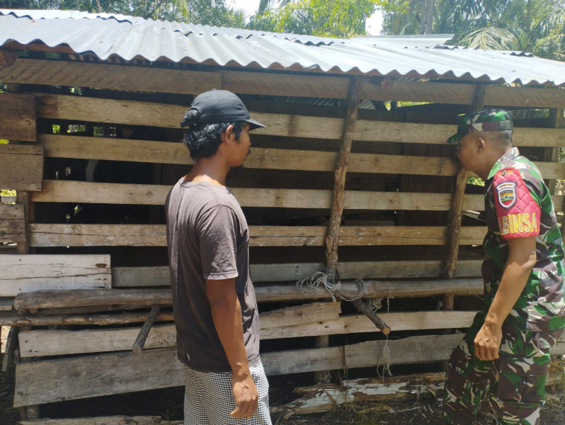 Serka Eri Efrianto Laksanakan Pemantauan Cegah PMK