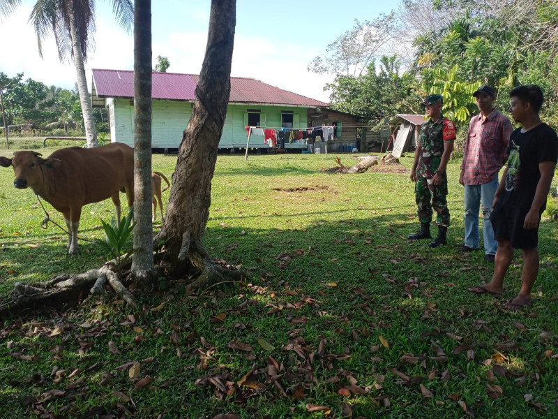 Serda Engki Tarnando Cek Kesehatan Hewan Ternak