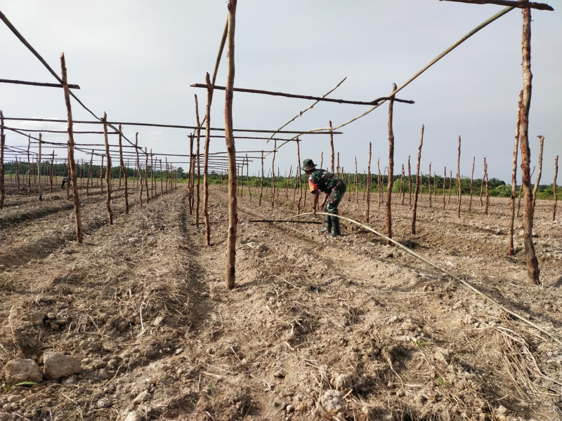 Babinsa Ikuti Giat Pemasangan Kayu Lanjar