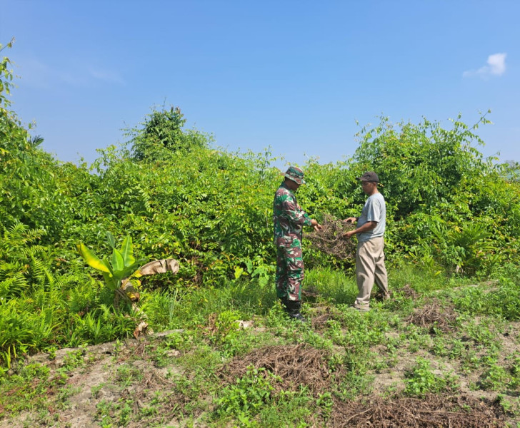 Sosialisasi Babinsa Dumai Selatan Terkait Bahaya Membuka Lahan Dengan Membakar