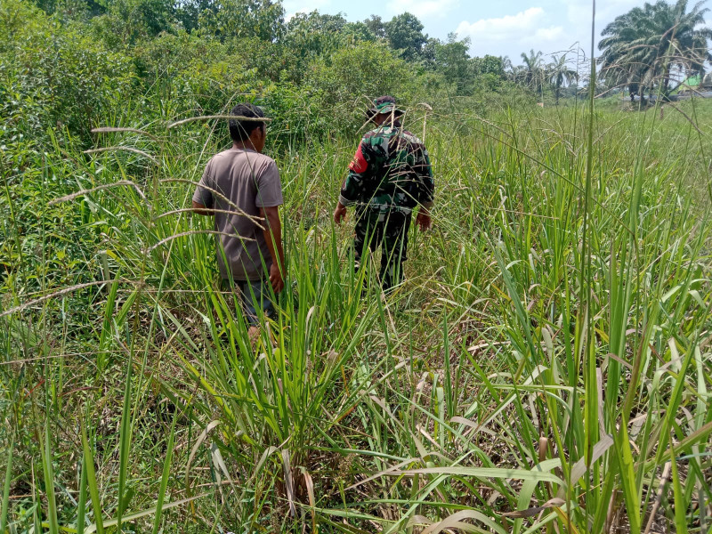 Meminimalisir Terjadinya Karhutla, Serka Suandi Laksanakan Patroli