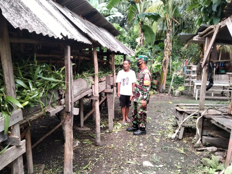 Pencegahan PMK Oleh Babinsa Serka Sugianto