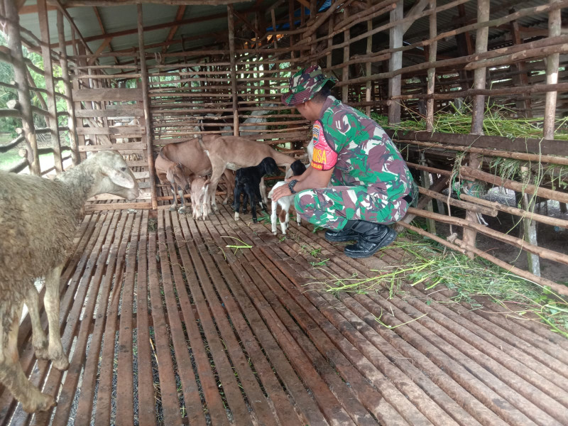 Serda Priyo Laksanakan Giat Guna Cegah PMK