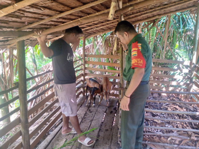 Serda Ade D Purba Jelaskan Bahaya PMK Kepada Masyarakat