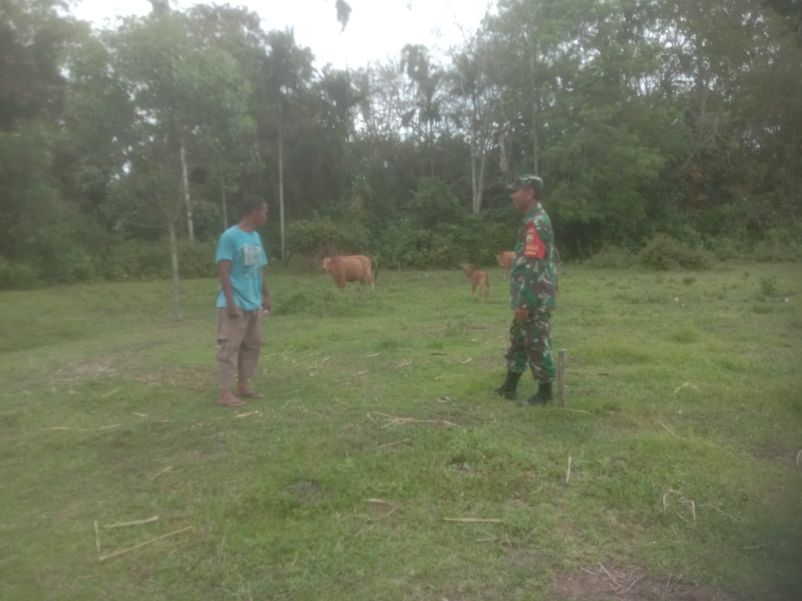 Sertu Ramli Berikan Pengarahan Cegah PMK