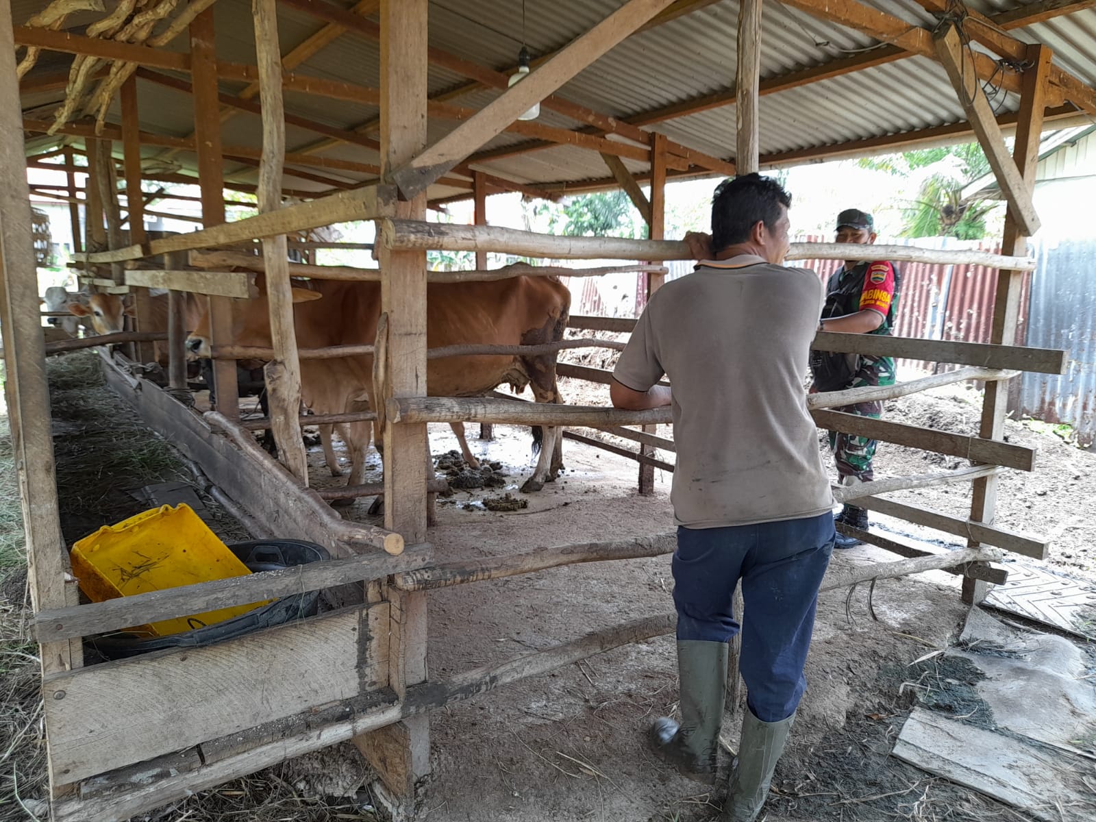 Kegiatan Pencegahan PMK Dilaksanakan Oleh Pelda Sapi'i