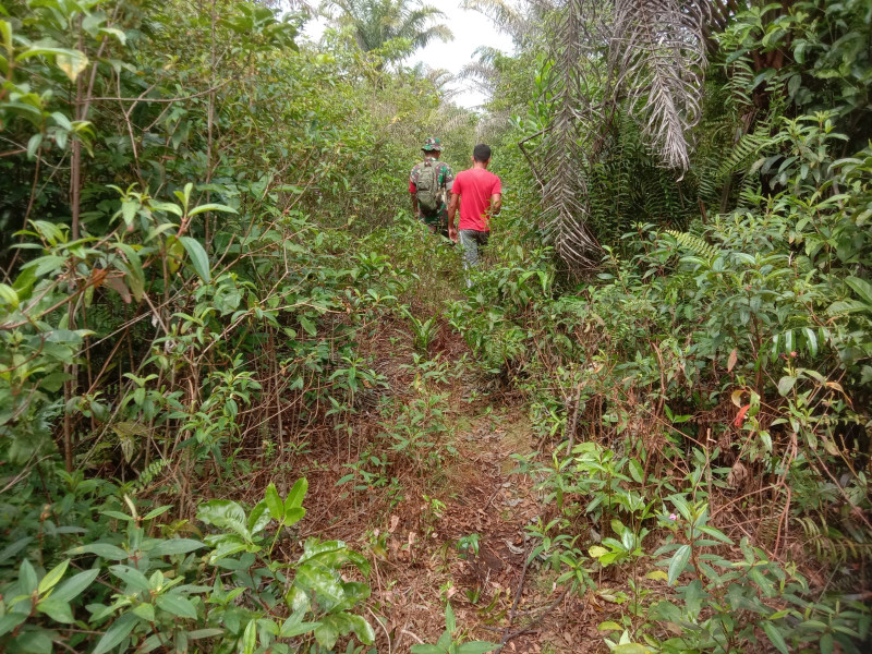Babinsa Koramil 02/BK Gencar Sosialisasi Anti Karhutla di Kelurahan Mundam