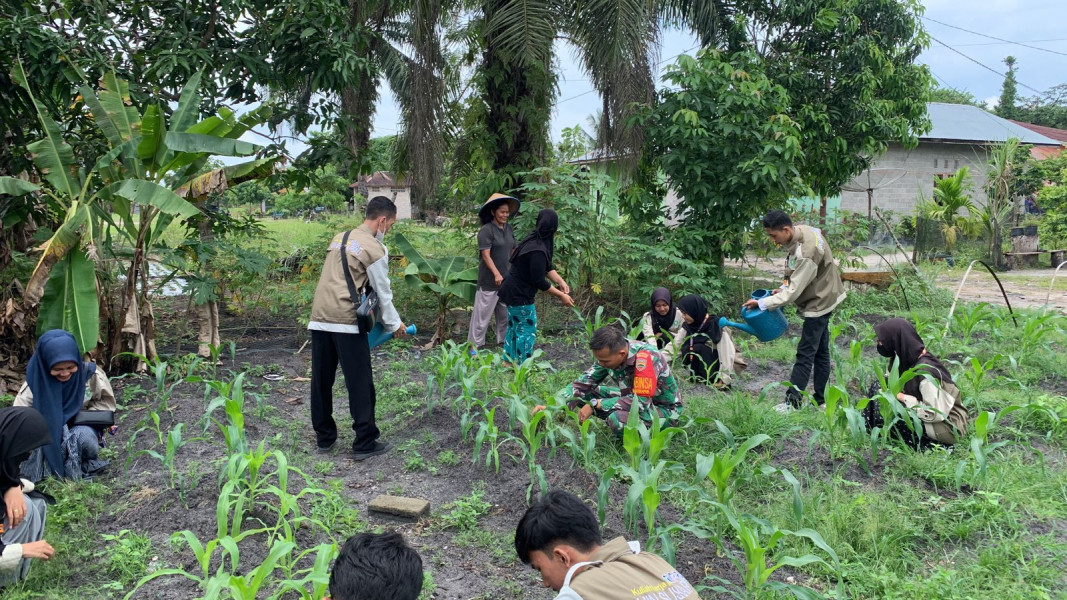 Bersama Dengan Mahasiswa UIN, Serka Tomy Mike Melaksanakan Giat Menjaga Ketahanan Pangan