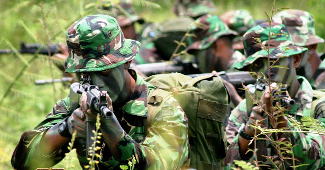 Pengakuan Jenderal USA: Indonesia Guru Vietnam dan Korea Utara Saat Berperang Lawan USA