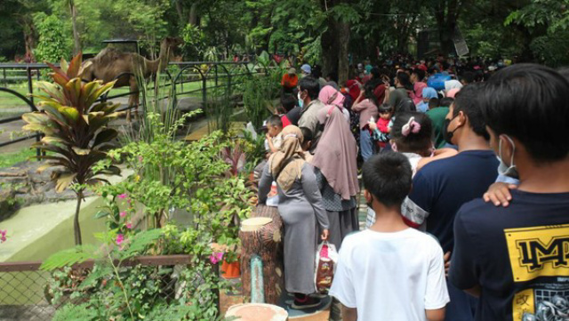 20.500 Lebih Pengunjung Berlibur di KBS Saat Tahun Baru 2022