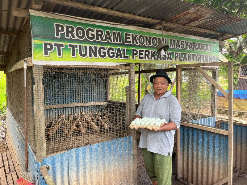 Ini Kisah Sukses Koptan Lansia Beternak Bebek Binaan CSR PT TPP di Inhu