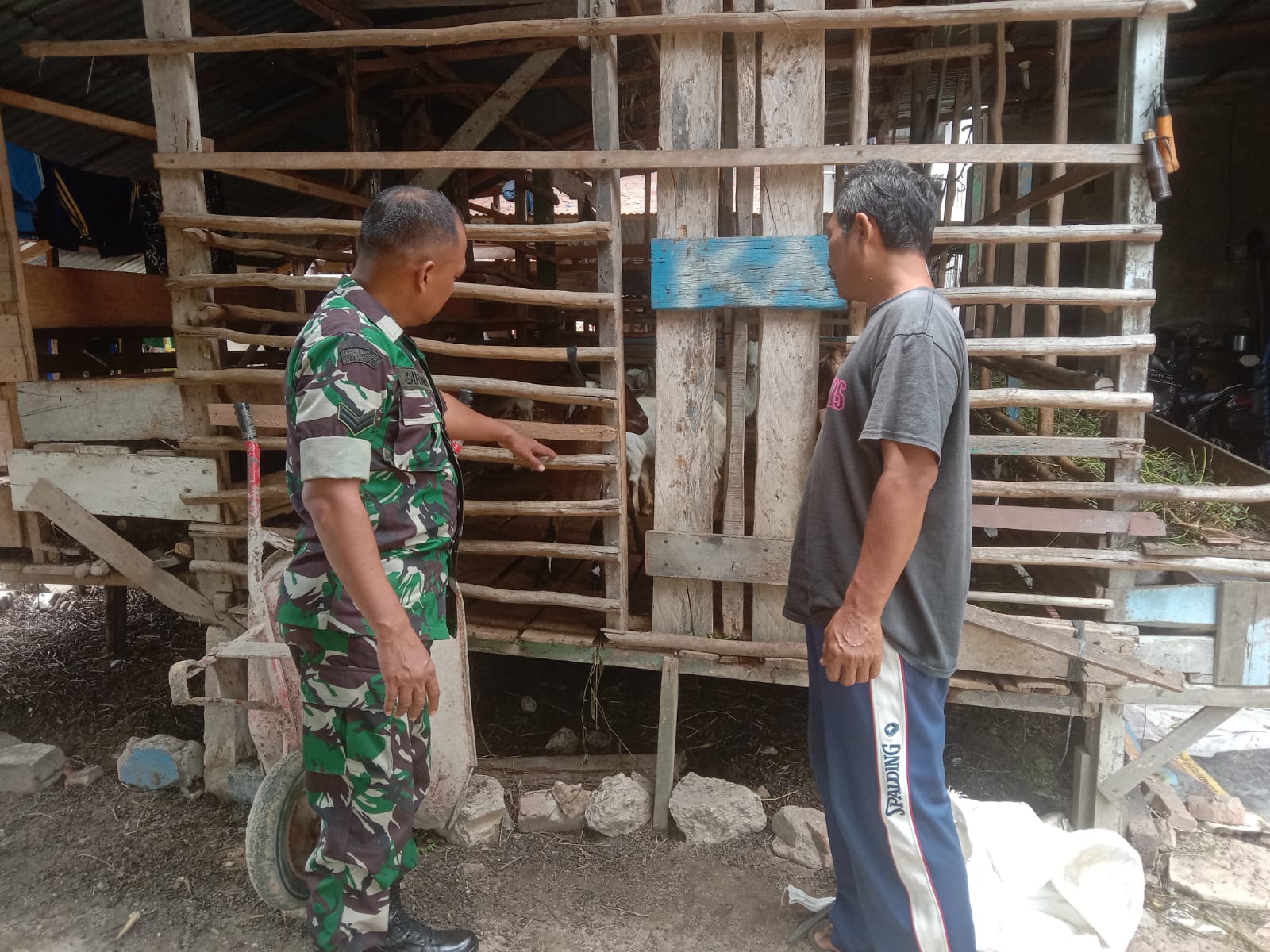 Giat Cegah PMK, Sertu Sutiono Kunjungi Peternakan