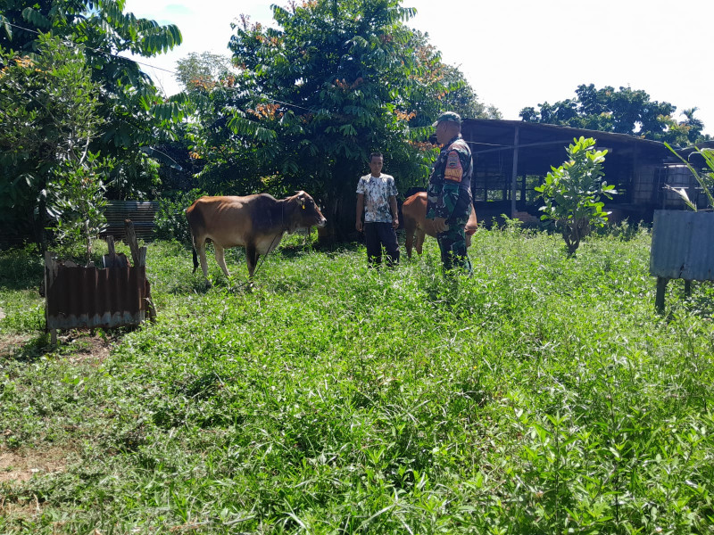 Tak Ingin Ada Kasus PMK, Serma Fahrizal Purba Laksanakan Sosialisasi dan Komsos Pencegahan PMK
