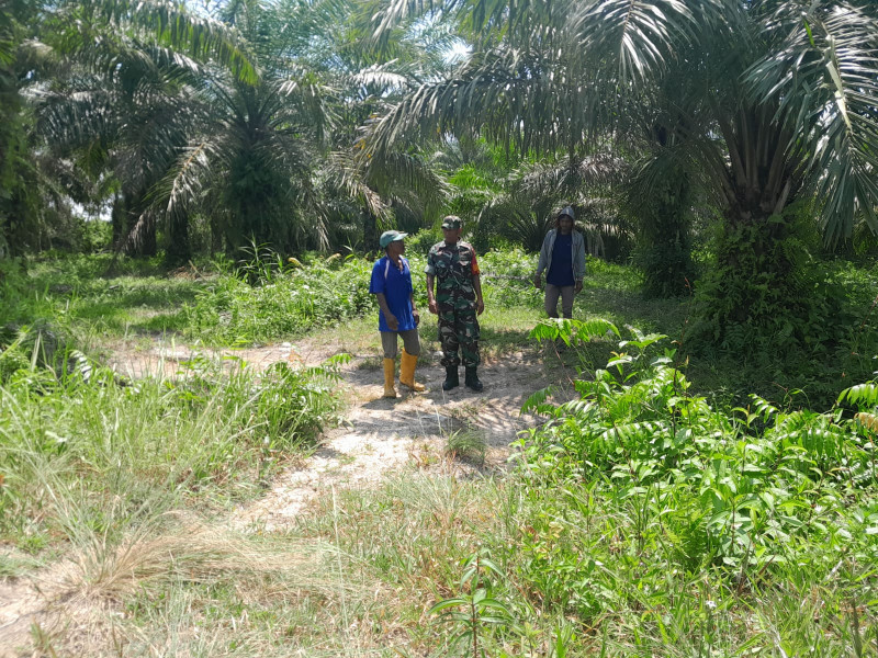 Babinsa Patroli Wilayah Cegah Karhutla
