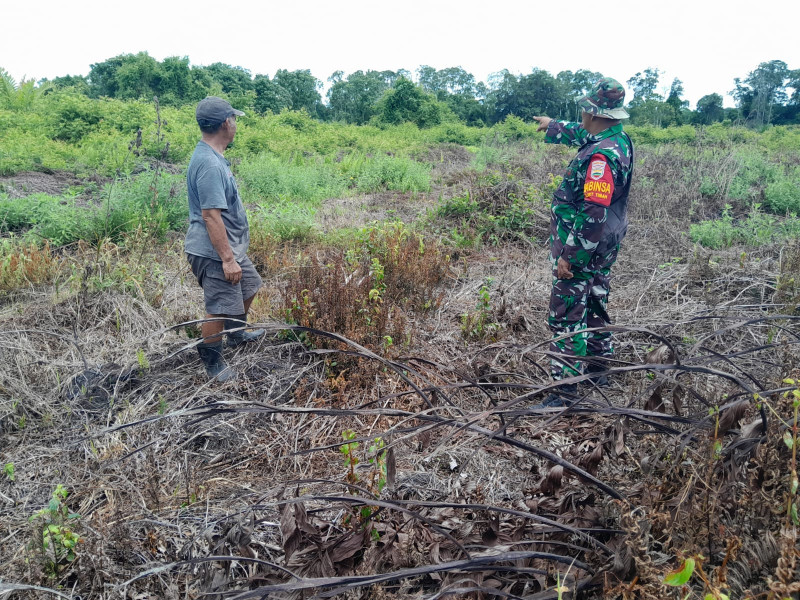 Babinsa Koramil-01/Dumai Aktif Cegah Karhutla di Wilayah Rawan