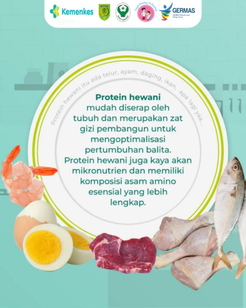 Pentingnya Sumber Protein Hewani Untuk Menu MP - ASI Dalam Pencegahan Stunting