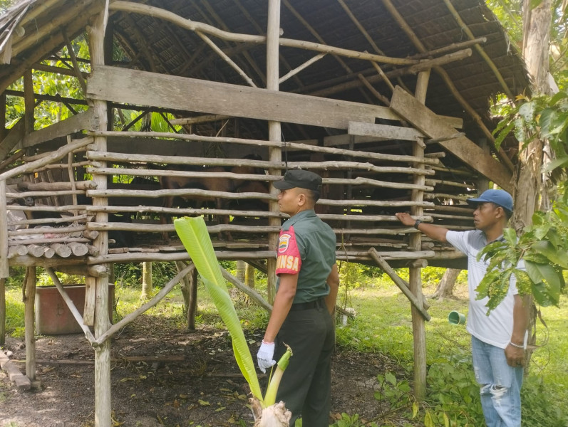 Serka Eri Efrianto Sambangi Masyarakat Untuk Sosialisasikan Pencegahan PMK