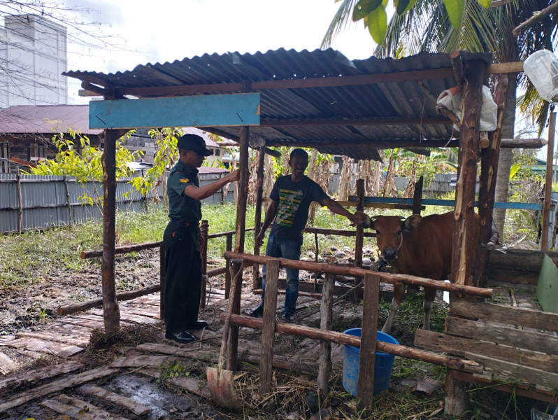 Semangat Cegah PMK Oleh Serka Eri Efrianto