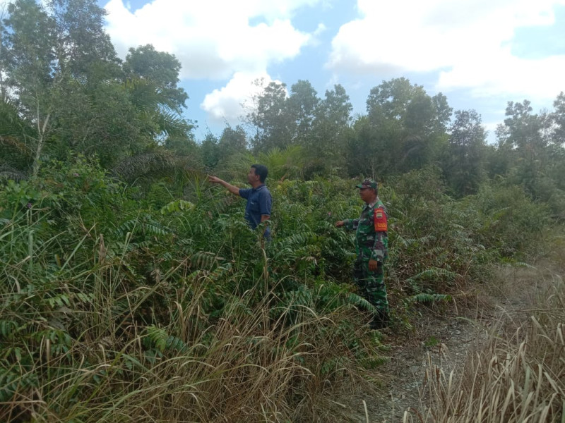 Upaya Preventif Serda Cerzakatno Dalam Mencegah Karhutla