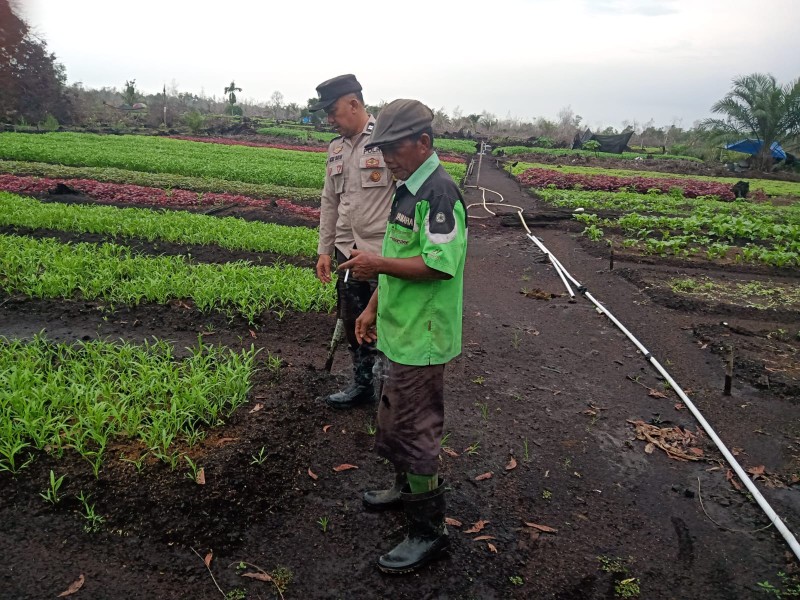 Bersama Warga, Bhabinkamtibmas Dumai Barat Dorong Swasembada Pangan dari Pekarangan Rumah