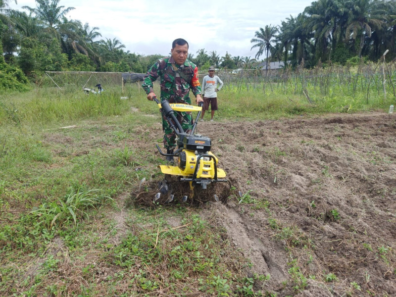 Serka Albinur Lubis Dampingi Petani Untuk Mengolah Lahan