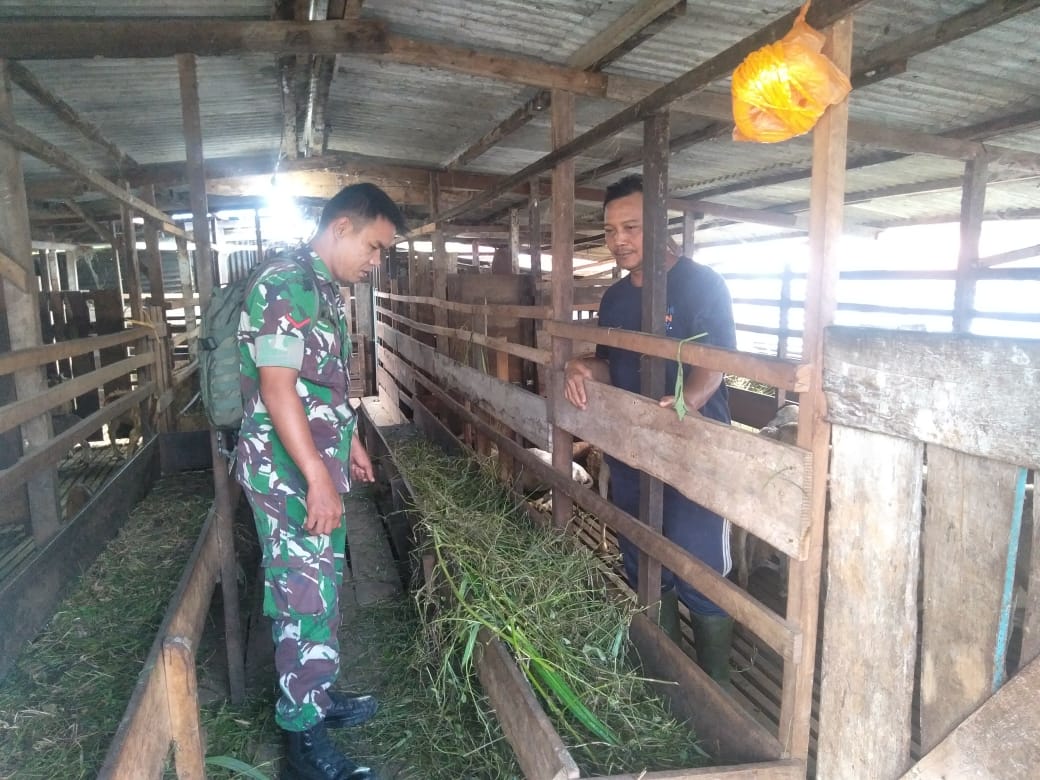 Kopda M Togatorop Laksanakan Giat Pencegahan PMK