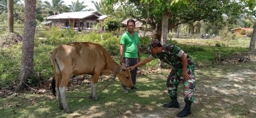 Serda Edi Saputra Gencar Laksanakan Sosialisasi Pencegahan PMK