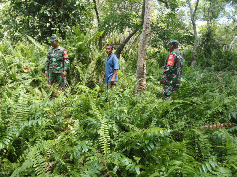 Babinsa Koramil 06 Merbau Melaksanakan Monitoring Wilayah Cegah Karhutla