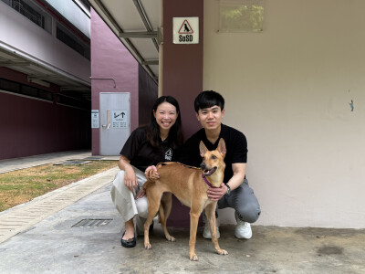 V Aesthetics Holdings Commits S$400,000 to Support Dogs in SOSD’s Care