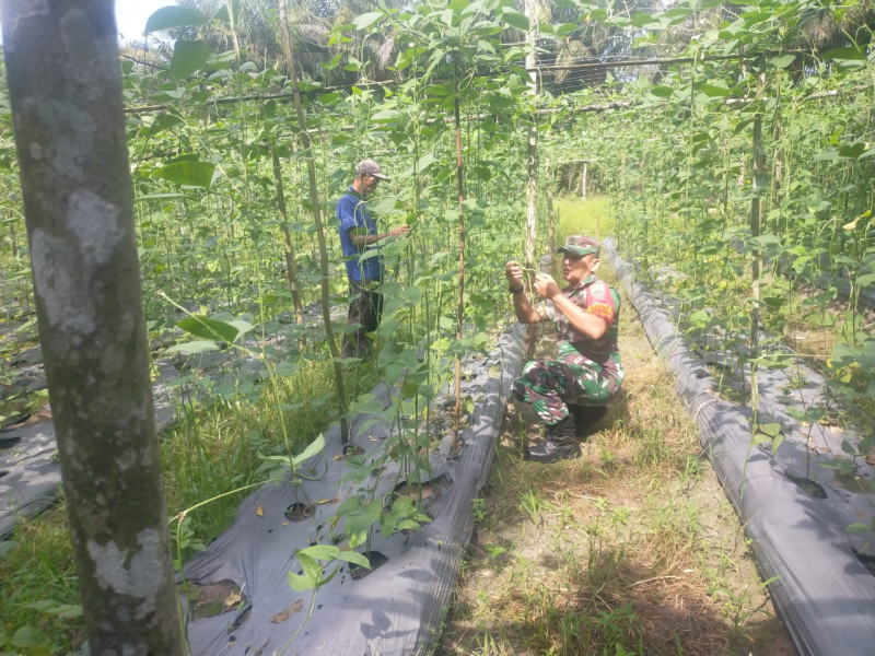 Pendampingan Sukoco Oleh Sertu Arjuna Endar