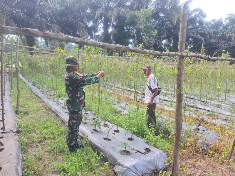 Serda Andri Widodo Laksanakan Pendampingan Kepada Petani