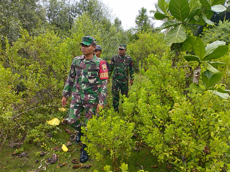Serka Eri dan Pratu Rahmad Laksanakan Patroli Cegah Karhutla