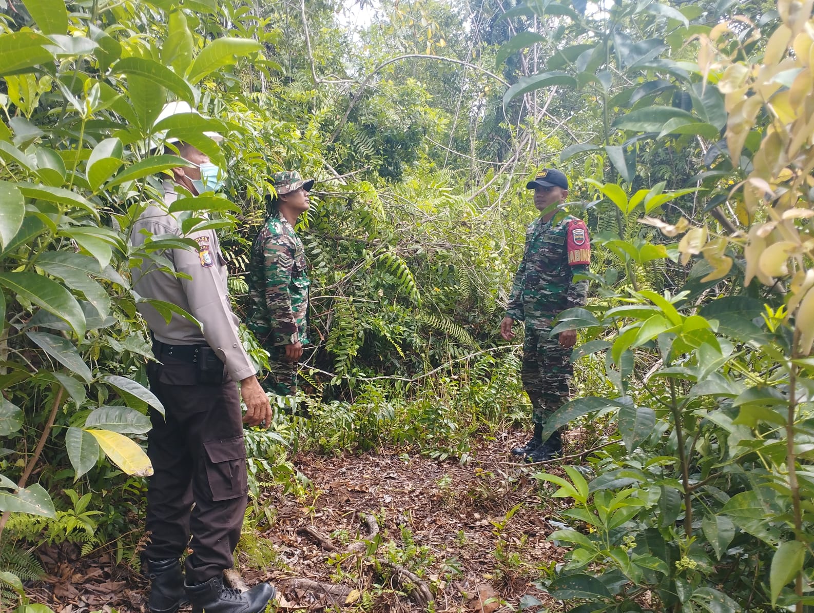 Cegah Lahan Gambut Terbakar, Serka Eri Lakukan Pemantauan
