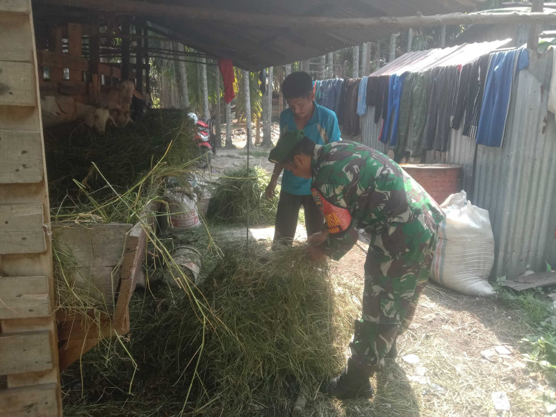 Sosialisasi Untuk Mencegah PMK Dilaksanakan Oleh Serda SMP Sinaga