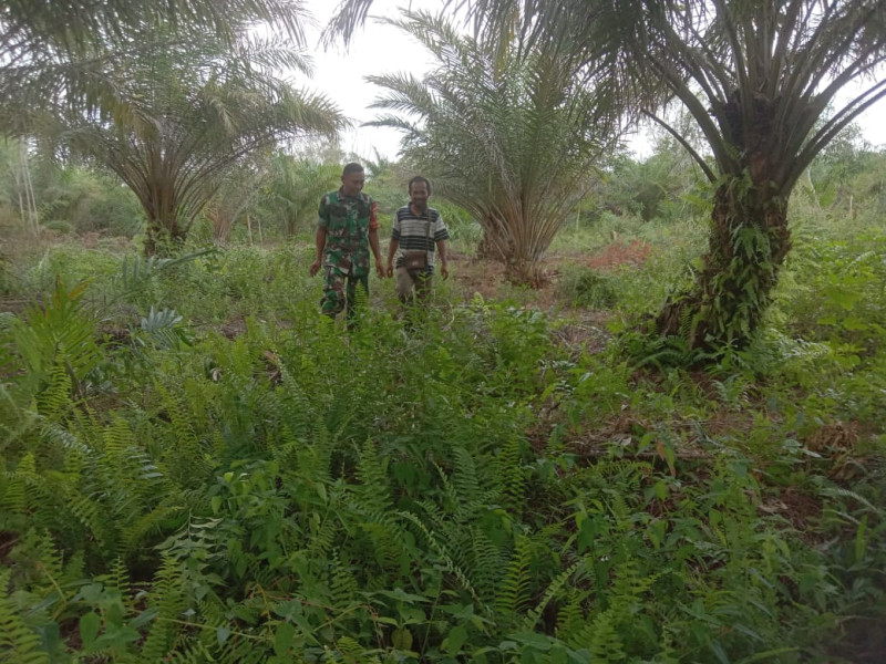Sertu Ramli, Babinsa di Kelurahan Mundam, Gencar Patroli Jaga Keamanan dan Sosialisasikan Bahaya Karhutla
