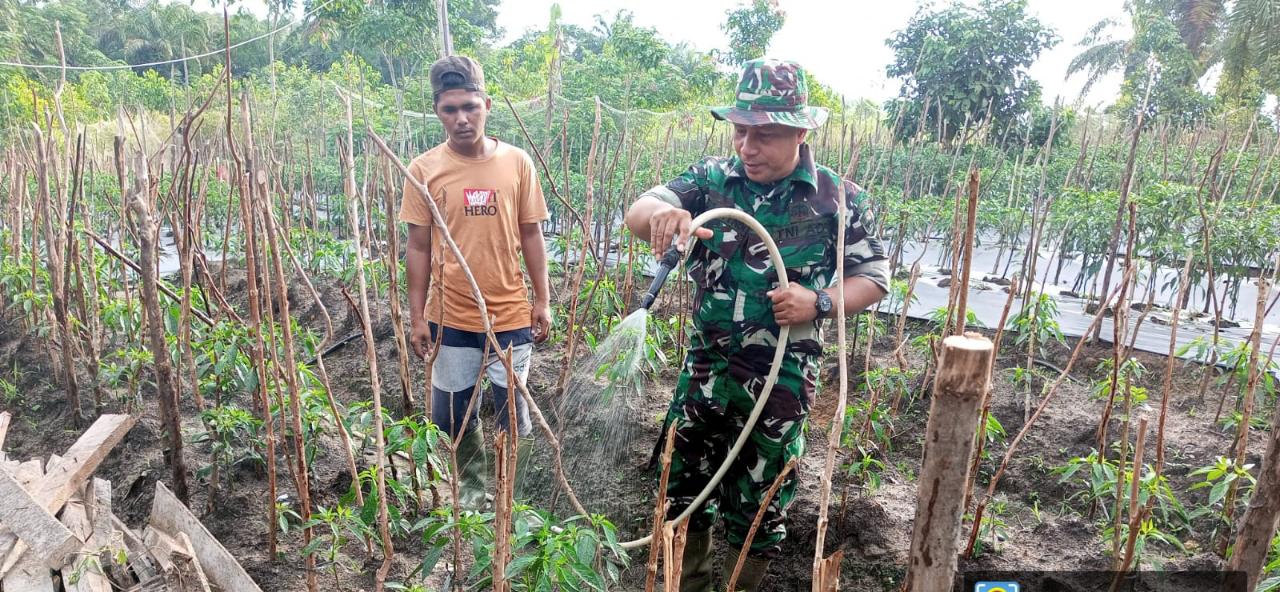 Serma Zul Efendi Temui Petani dan Himbau Ini