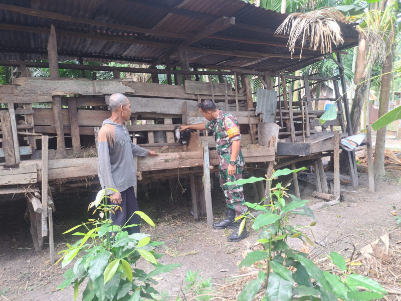 Serda Andri Widodo Cek Kesehatan Hewan Ternak