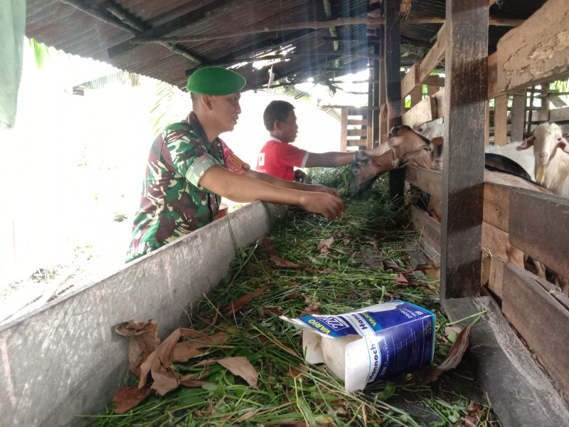 Mencegah PMK, Serda Priyo Sudarmo Laksanakan Sosialisasi